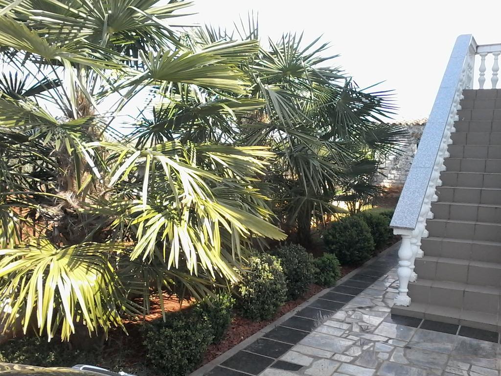 פורץ House Apartments Ariamare מראה חיצוני תמונה
